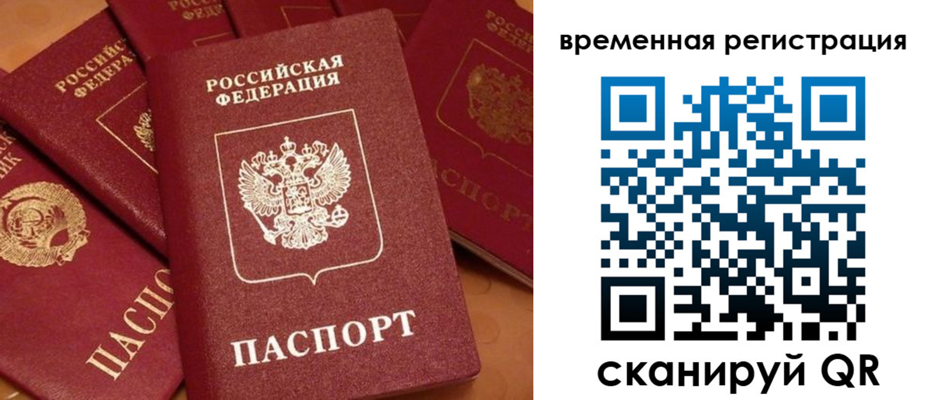 где прописаться в Светогорске
